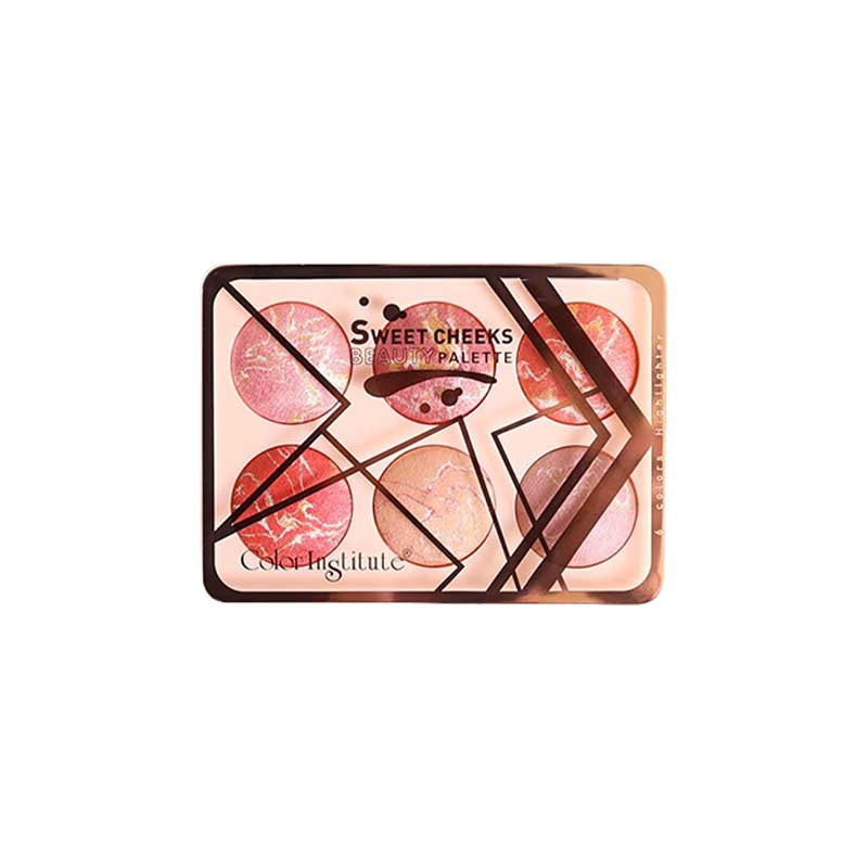 Color Institute 6 in 1 Terra cotta blushon & Highlighter Kit