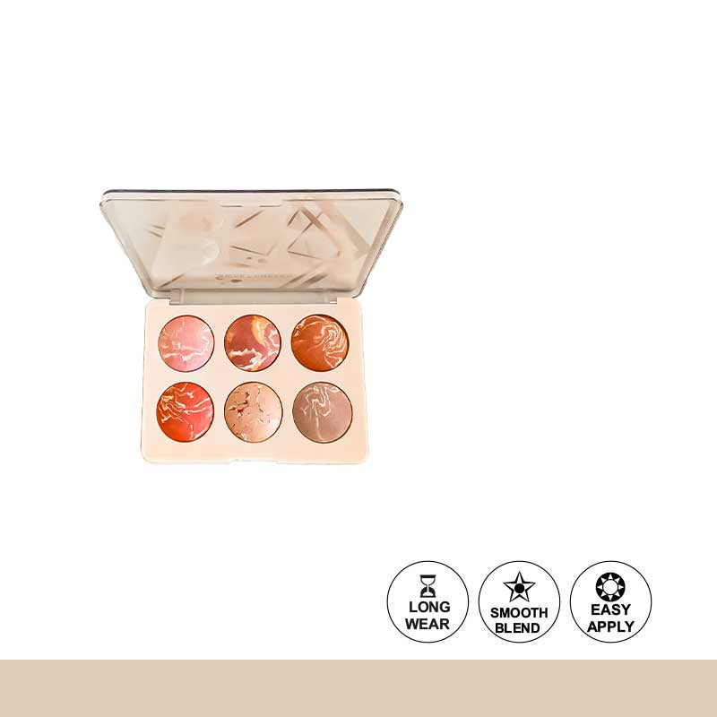 Color Institute 6 in 1 Terra cotta blushon & Highlighter Kit
