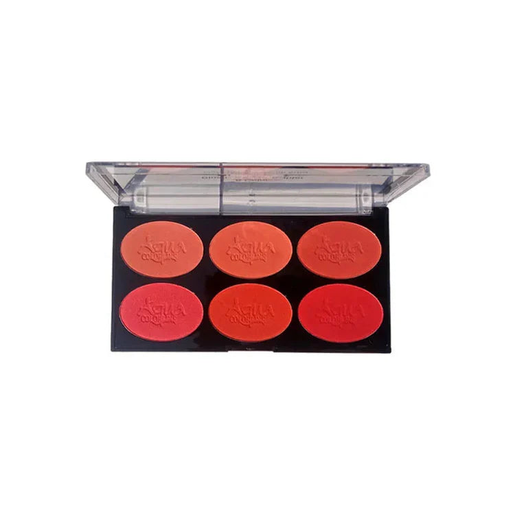 AQUA COLOR LINE 6x1 HIGHLIGHTER BLUSHON  (4GROUPS)