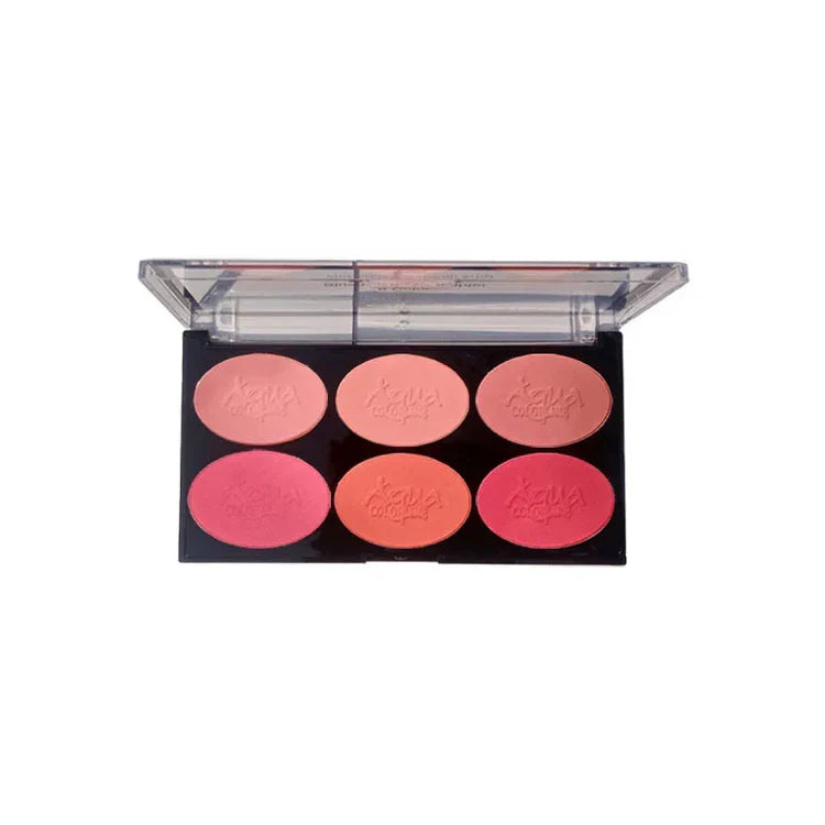 AQUA COLOR LINE 6x1 HIGHLIGHTER BLUSHON  (4GROUPS)
