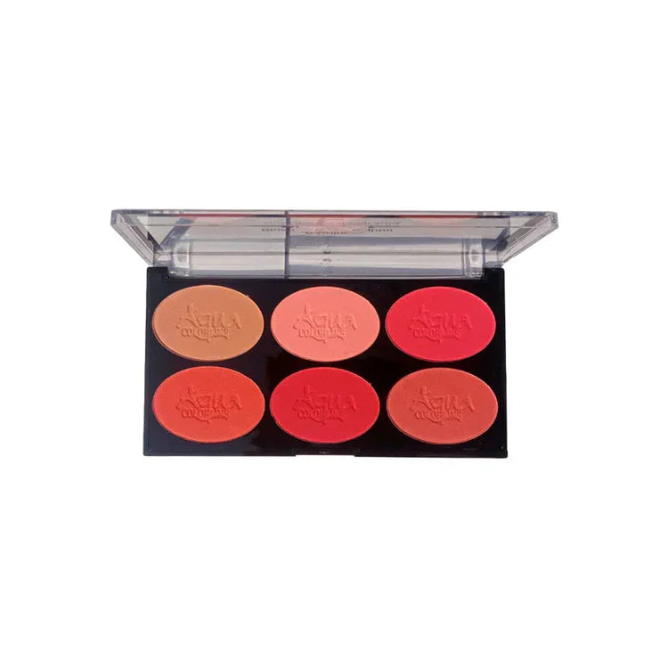 AQUA COLOR LINE 6x1 HIGHLIGHTER BLUSHON  (4GROUPS)