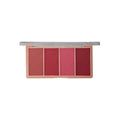AQUA COLOR LINE 4 COL. CONTOUR+HIGHLIGHTER+BLUSHON KIT (4 GROUPS)  (3514)
